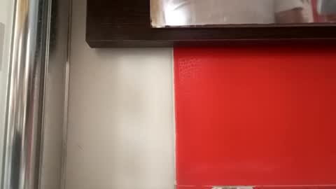 pollonmix online show from 09.11.25