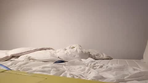 Pollonreus online show from 11.13.25