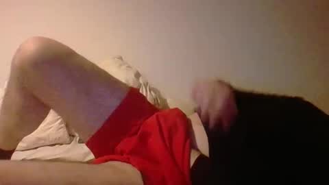 Pollonreus online show from 04.16.26