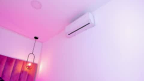 POLLY online show from 03.07.26