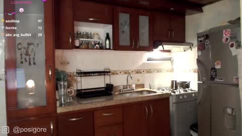 Snapshot of posigore chatting on 01.03.25 Anna Goth independient model online show from 01.03.25