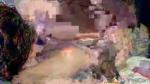 dikud0wn online show from 11.02.25