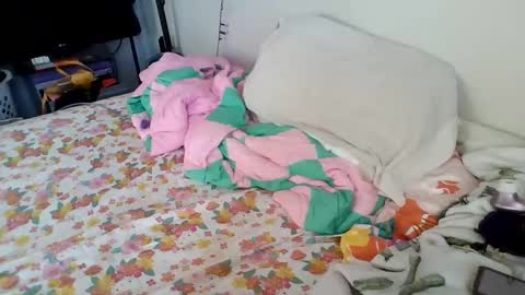 Snapshot of pppawg chatting on 01.20.25 PAWG Pale Princess online show from 01.20.25