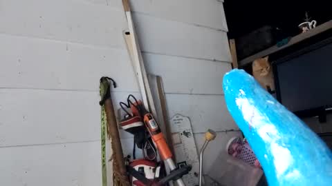 Snapshot of prettyboytatted69 chatting on 12.27.24 Prettyslangin69 FYPM online show from 12.27.24