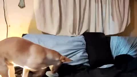 Snapshot of prettyboytatted69 chatting on 02.26.25 Prettyslangin69 FYPM online show from 02.26.25