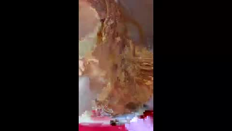 prettymoneychaser online show from 04.17.26