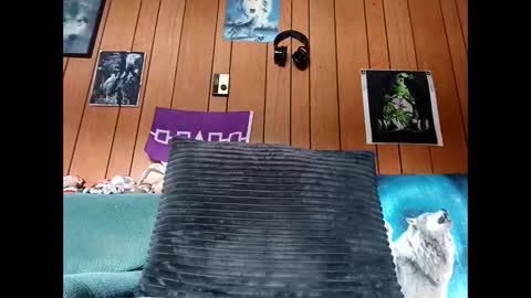 prettysolid7 online show from 10.13.25