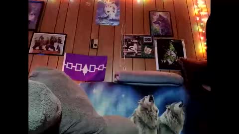 prettysolid7 online show from 02.09.26