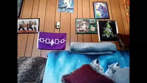 prettysolid7 online show from 03.01.26