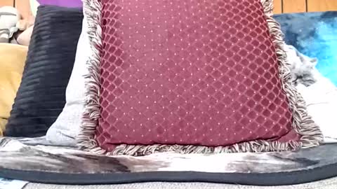 Snapshot of prettysolidd7 chatting on 01.20.25 prettysolidd7 online show from 01.20.25