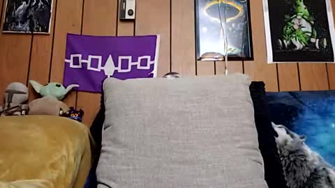 Snapshot of prettysolidd7 chatting on 01.27.25 prettysolidd7 online show from 01.27.25