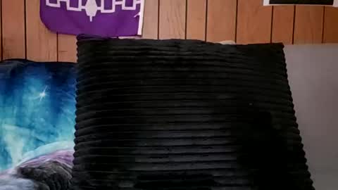 Snapshot of prettysolidd7 chatting on 02.24.25 prettysolidd7 online show from 02.24.25