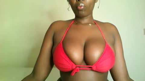 prettyvishy online show from 11.15.25