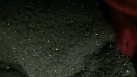 princessoftenis44 online show from 01.09.26