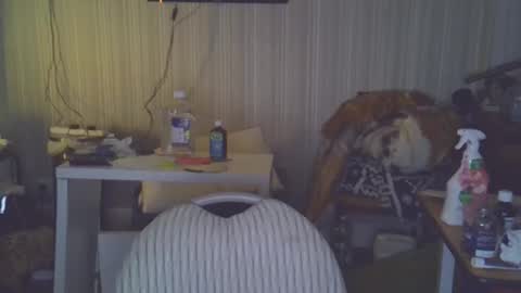 projectorepson online show from 03.20.26