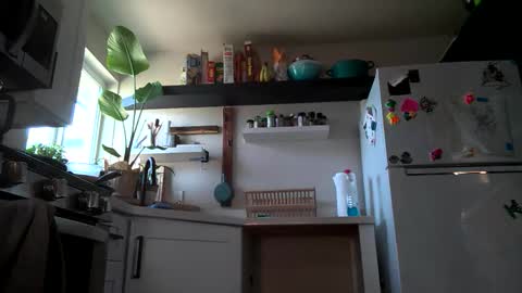 Snapshot of properfuct chatting on 11.03.25 Properfuct online show from 11.03.25