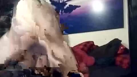 properttw online show from 10.13.25