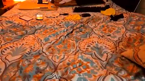 LOVE TO GET MY ASS FUCKED online show from 03.08.26