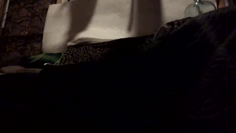 Snapshot of pumpslurrys chatting on 10.28.25 pumpslurrys online show from 10.28.25