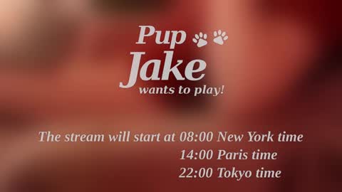 Snapshot of pup_jake chatting on 12.25.24 Pup Jake wants to play online show from 12.25.24