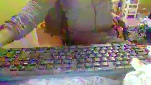 pup_y online show from 12.22.25