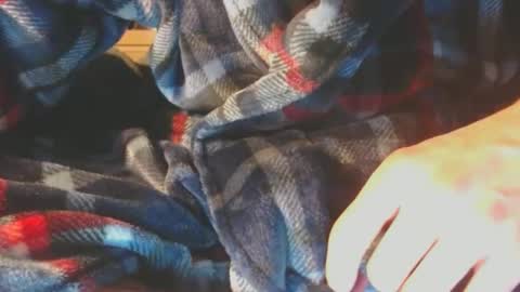 Pup Scrote online show from 02.10.25