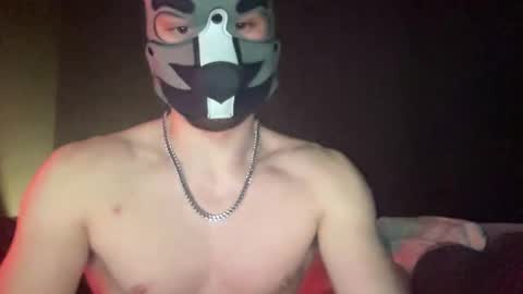 puptravel online show from 01.14.26