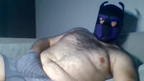 purple_pup_bear online show from 08.06.26