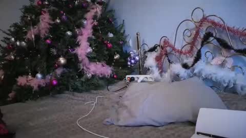 PurpleRainn69  Dina online show from 12.15.24