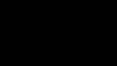 Carlos online show from 01.31.25