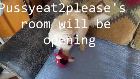 Rick online show from 02.16.25