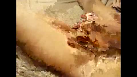 Snapshot of pussymoneyweed9125 chatting on 09.28.25 Thick Pussy banger online show from 09.28.25