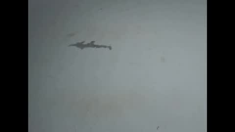 pussyxwetx online show from 02.27.26