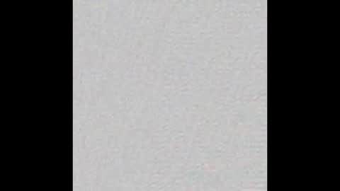 pyneapple online show from 03.01.26