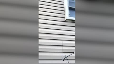 Snapshot of pyrex8 chatting on 04.11.26 pyrex8 online show from 04.11.26