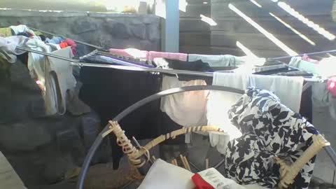 Snapshot of python974 chatting on 01.10.25 Python online show from 01.10.25