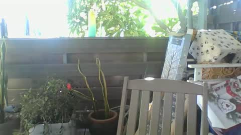 Snapshot of python974 chatting on 02.02.25 Python online show from 02.02.25