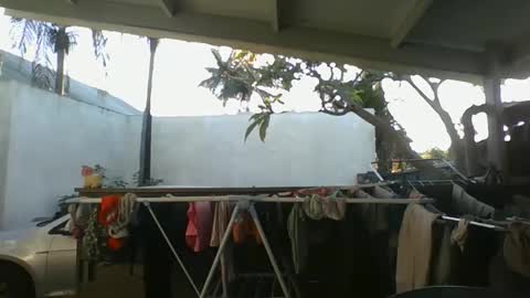 Snapshot of python974 chatting on 10.09.25 Python online show from 10.09.25