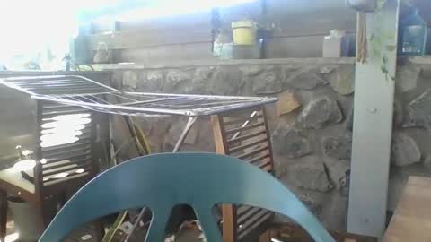 Python online show from 11.29.25