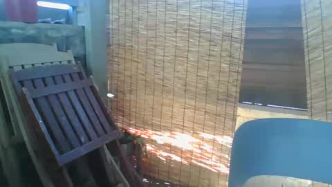 Python online show from 02.26.26