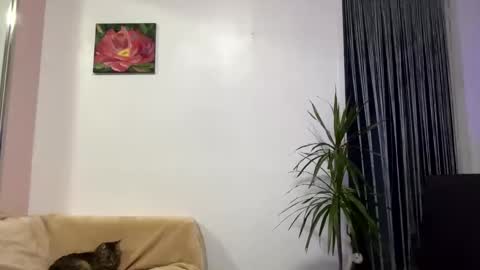 Viktoria online show from 01.28.25