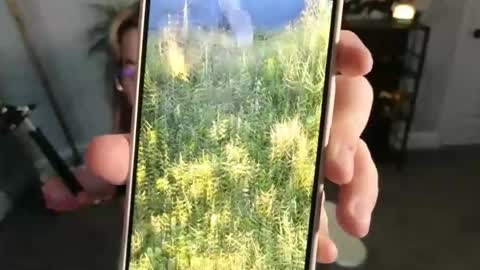 Bri online show from 11.17.25