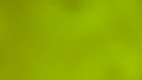 quinnxx online show from 03.09.26