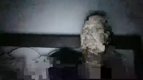 Snapshot of qwezxcqweasdzxc chatting on 10.23.25 qwezxcqweasdzxc online show from 10.23.25