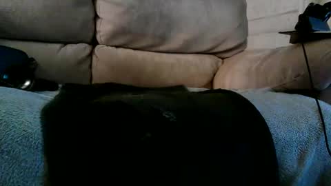 Snapshot of r3710 chatting on 12.10.24 Bi daddy online show from 12.10.24