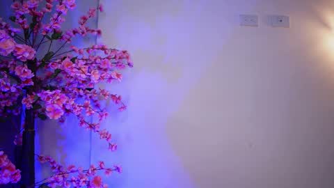 Snapshot of r4veenn chatting on 01.11.25 RACHEL BLAKE online show from 01.11.25