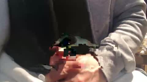 Raccoon68 online show from 04.08.26