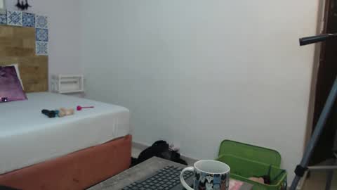 rachel  online show from 10.23.25