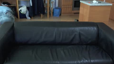 rafaelosteel online show from 11.01.25