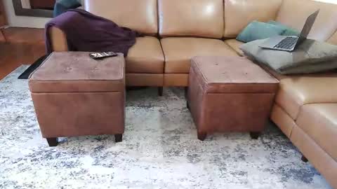 Snapshot of raffertynow chatting on 02.07.26 DressSock Shoe online show from 02.07.26